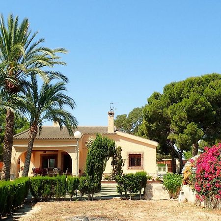 Villa Buganvilla Elche Kültér fotó