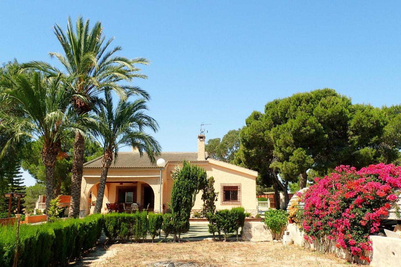 Villa Buganvilla Elche Kültér fotó