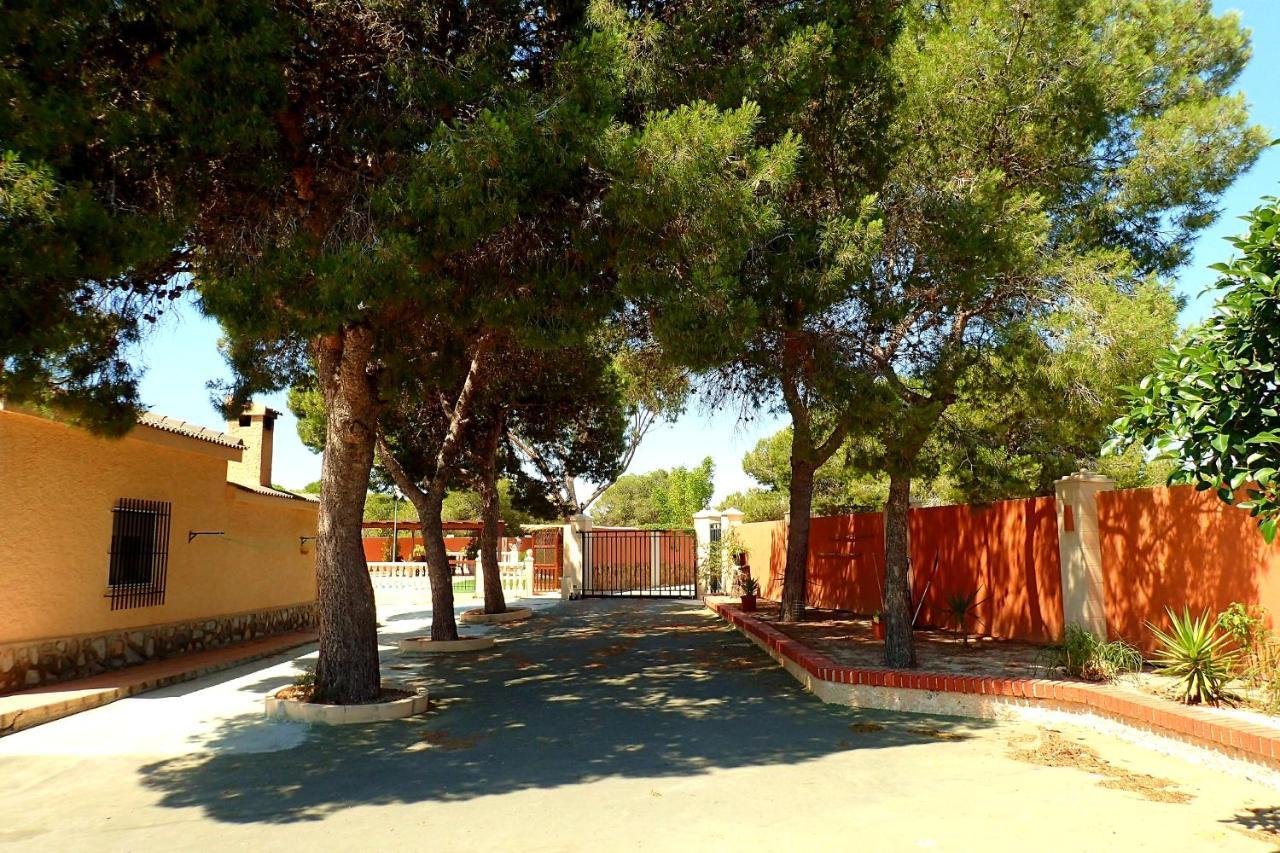 Villa Buganvilla Elche Kültér fotó