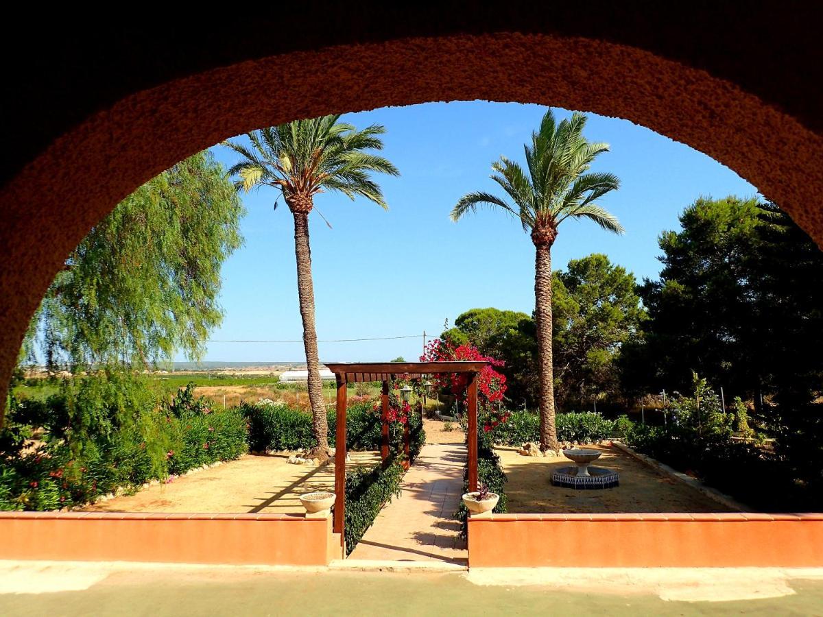 Villa Buganvilla Elche Kültér fotó