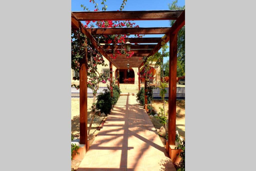 Villa Buganvilla Elche Kültér fotó
